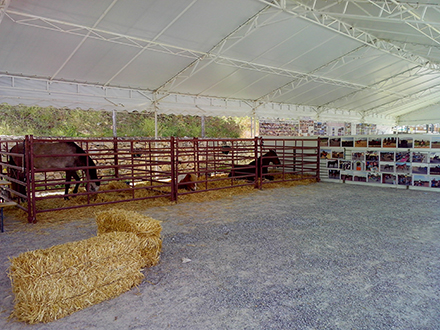 Paddocks del Centro Ecuestre La Zubia