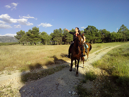 Clases de equitacion en La Zubia
