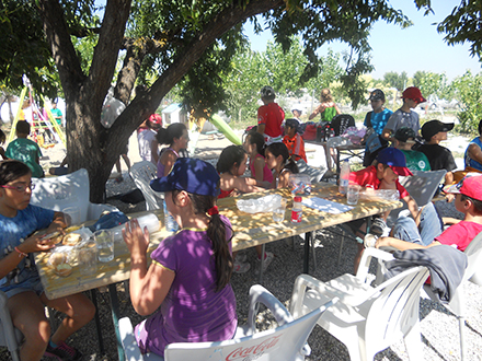 Clases individualizadas de equitacion