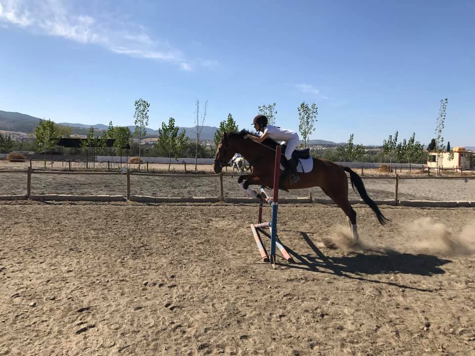 El caballo no puede parar dos meses