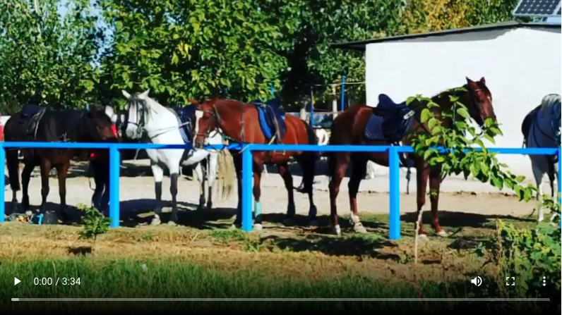 COVID19 - Juntos lo Paramos